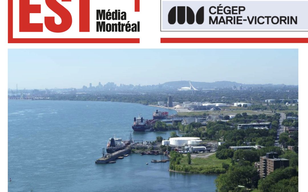 SIPI : PAS DE TRANSPORT, PAS DE DÉVELOPPEMENT
