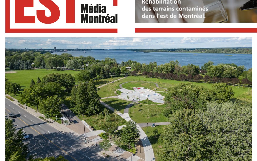 LA NOUE DE BIORÉTENTION DU PARC HONORÉ-MERCIER FAIT SES PREUVES